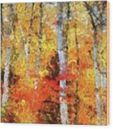 Autumn Birches Wood Print