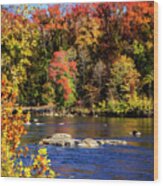 Autumn By The River -1 Wood Print
