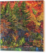 Autumn Cascades Wood Print