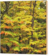 Autumn Colors 4 Wood Print