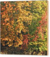 Autumn Colors Ii Wood Print