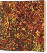 Autumn Colors Wood Print