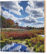 Autumn Colors Of Swamp Wood Print
