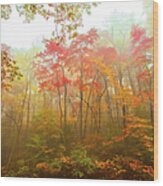 Autumn Fall Colors - Dazzling Color In The Blue Ridge Wood Print