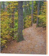 Autumn Fall Foliage In New England Wood Print