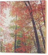 Autumn Foliage At Coopers Rock - Morgantown Wv Wood Print