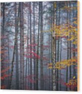 Autumn Forest In Fog Wood Print