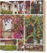Autumn Houses,  Gardens And Balconies In Portugal Wood Print
