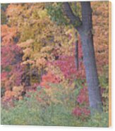 Autumn Impression Wood Print