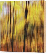 Autumn Impressions -1 Wood Print