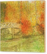 Autumn In New York Wood Print