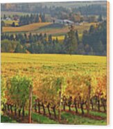 Autumn In Oregon Wine Country Wood Print