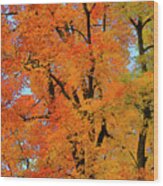 Autumn In Southern Ontario Wood Print