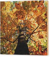 Autumn Is Glorious Wood Print