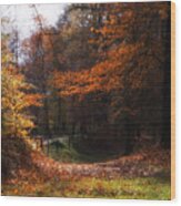 Autumn Landscape Wood Print