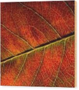 Autumn Leaf Wood Print