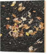 Autumn Leaves Abstract Wood Print