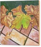 Autumn Leaves Wood Print