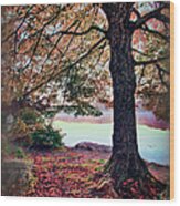Autumn Leaves On The Blue Ridge Parkway Ap Wood Print