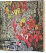 Autumn Leaves Wood Print