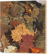 Autumn Leaves Under Water Wood Print