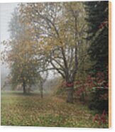 Autumn Mist, Great Dixter Garden 2 Wood Print