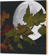 Autumn Moon Wood Print