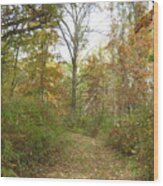 Autumn Path Wood Print