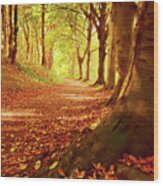 Autumn Path Wood Print
