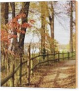 Autumn Pathway Wood Print