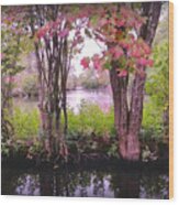 Autumn Ponds In Connetquot Park Wood Print