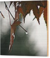 Autumn Raindrops Wood Print