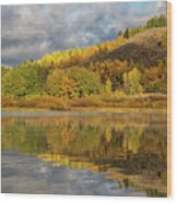 Autumn Reflected On The Snake River Wood Print