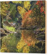 Autumn Reflections Wood Print