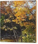 Autumn River Wood Print