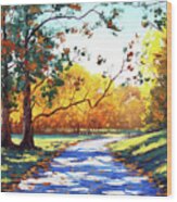 Autumn Road Mt Wilson Wood Print