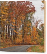 Autumn Road Trip Wood Print