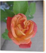 Autumn Sedona Heart Rose Wood Print