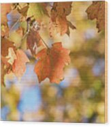 Autumn Splendor Wood Print