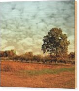 Autumn Splendor In The Orchard - Battlefield Orchards Wood Print