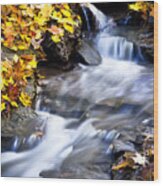 Autumn Stream No 2 Wood Print