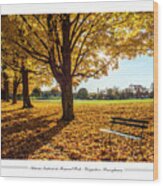 Autumn Sunburst At Memorial Park Wood Print