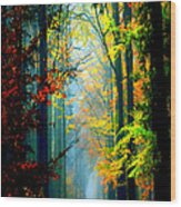 Autumn Trails In Georgia Wood Print