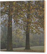 Autumn Trees With Fog Wood Print