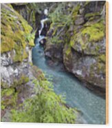 Avalanche Gorge In Glacier National Park Wood Print