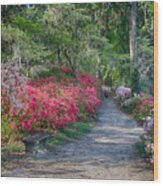 Azalea Path Wood Print