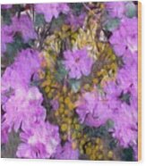 Azaleas Wood Print