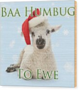 Baa Humbug To Ewe Wood Print