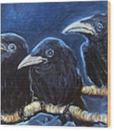 Baby Crows Wood Print