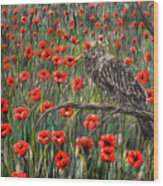 Baby Raven Chilling In The  Field Of Poppies Wood Print
